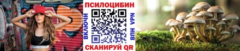 Галлюциногенные грибы Magic Shrooms  Подольск 
